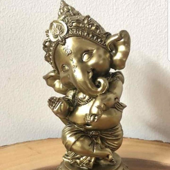 Meet your Posher, Rubby - Picture 3 of 3